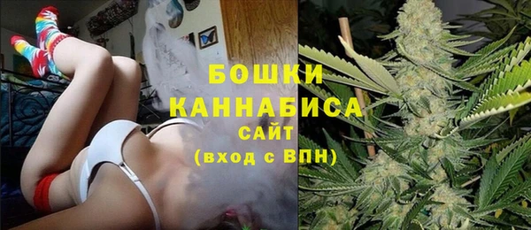 амф Магас