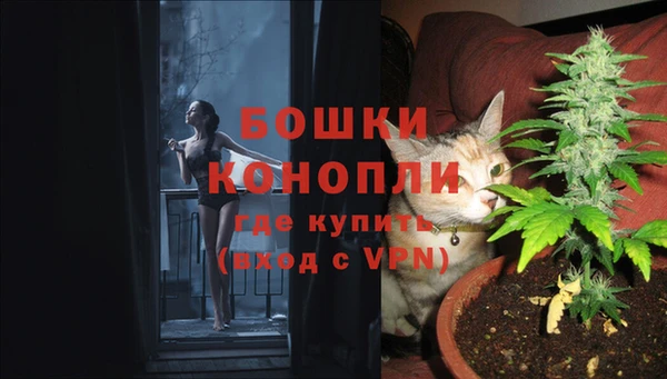 винт Мегион