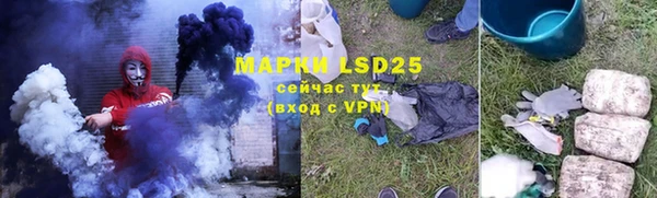 амф Магас
